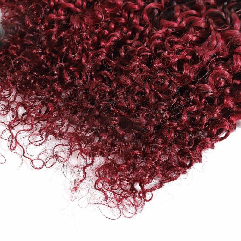 Factory Supply Wholesale Kinky Curly Raw Indian Cuticle Aligned Hair
