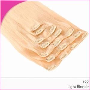 Unprocessed Virgin Clips in Hair