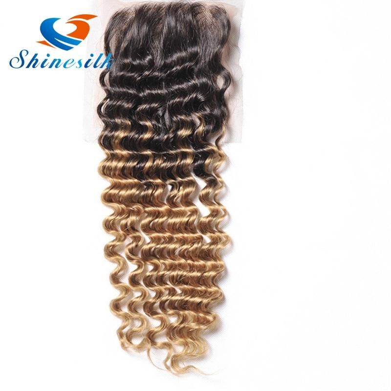 Ombre Brazilian Hair with Closure Brazilian Virgin Hair Extension