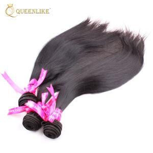 Wholesale Vendors Raw Brazilian Virgin Cuticle Aligned Human Hair
