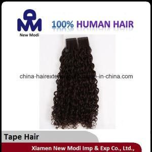 Fashion Natural Curl Brazilian Human Hair with No Lace