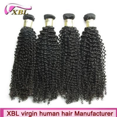 Unprocessed Human Hair Extension Kinky Curly Wholesale Virgin Mongolian Hair