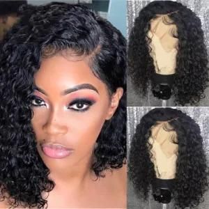 Hot Selling Vrigin 100% Cuticle Aligned Brazilian Curly Hair Lace Front Wig