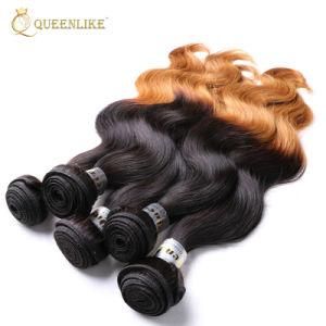 New Arrivals 100% Brazilian Virgin Hair Ombre Human Hair Weave
