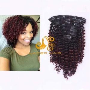 Kc99j Red Wine Kinky Curly 8&quot;-26&quot; Remy Human Hair Clip in Hair Extension in Stock