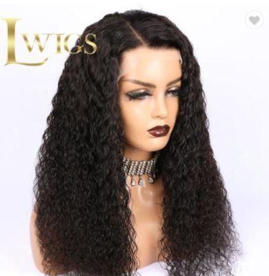 Attractive Price New Type Human Vendors Lace 100% Human Hair Wig