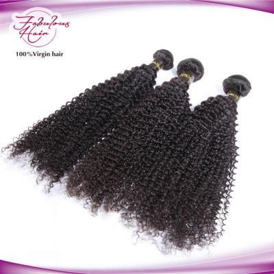 Large Stock All Length Jerk Curl 100% Peruvian Hair Weft