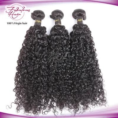 8A Fashion Curly Indian Virgin Remy Hair Weave