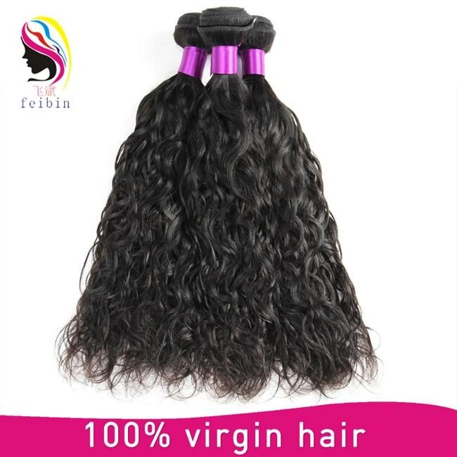 Wholesale Virgin Brazilian Hair Lace Fronta Remy Hair Water Wave, Water Wave Human Hair Virgin Bundles