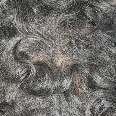 Lw082 Small Curl Style Human Hair Wig