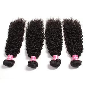 Top Quality Human Hair Weave Kinky Curly Virgin Brazilian Hair Bundles