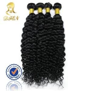 Brazilian Virgin Remy Human Hair