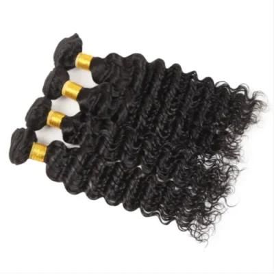 Riisca Hair Brazilian Deep Wave Bundles with Closure Human Hair Bundles with Closure Remy Hair