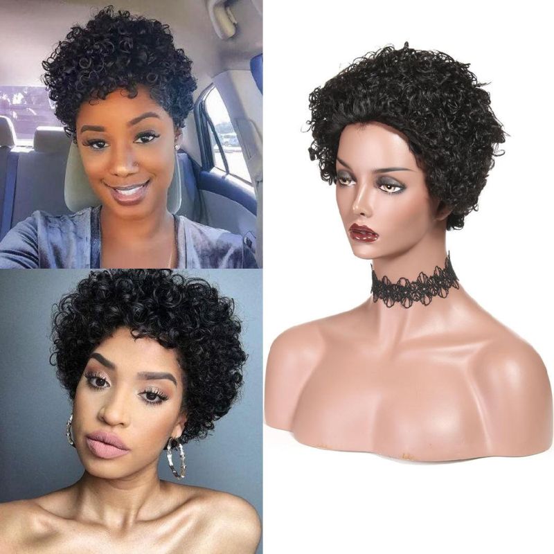 Short Curly Human Hair Wigs for Black Women 100% Brazilian Short Human Hair Wig