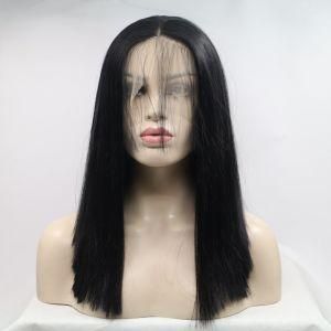 Wholesale Black Synthetic Hair Straight Lace Front Wig (RLS-014)