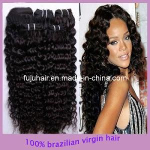 Cheap Brazilian Virgin Hair Weaves Deep Curly Virgin Hair (003)