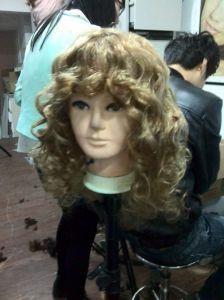 Wavy 150% Human Hair Wigs
