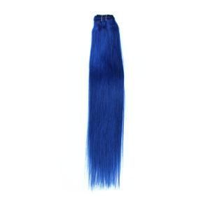 Virgin Women 10A Grade Brazilian Virgin Hair Bundle Papal Accept