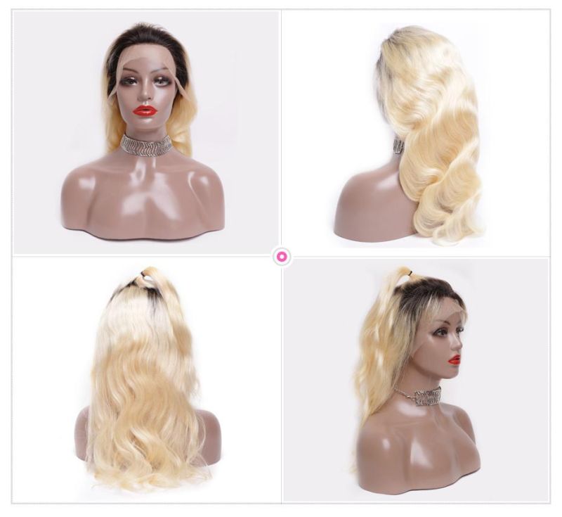 Alinybeauty Virgin Brazilian Human Hair T1b/613 Lace Frontal Wig