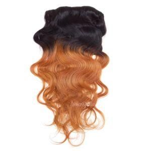 Brazilian Ombre Body Wave T1b/30 Clip-in 100% Human Hair