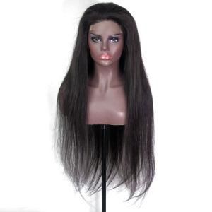 Sample Promotion Straight Closure Human Hair Long Wig