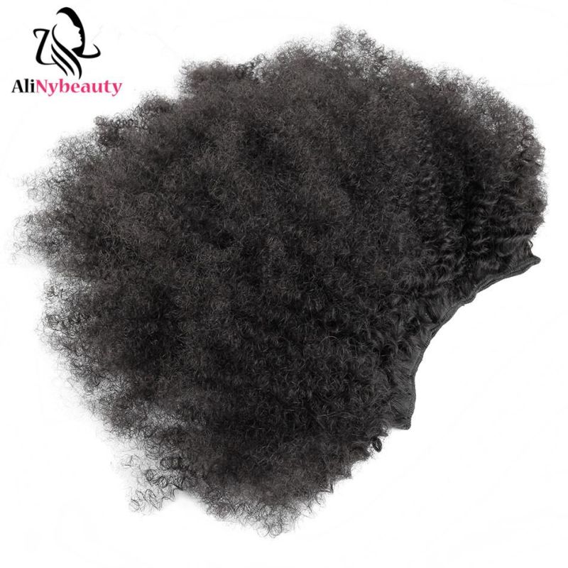 Alinybeauty Brazilian Afro Kinky Curly Clip in Hair Extensions 7 Pieces/Set