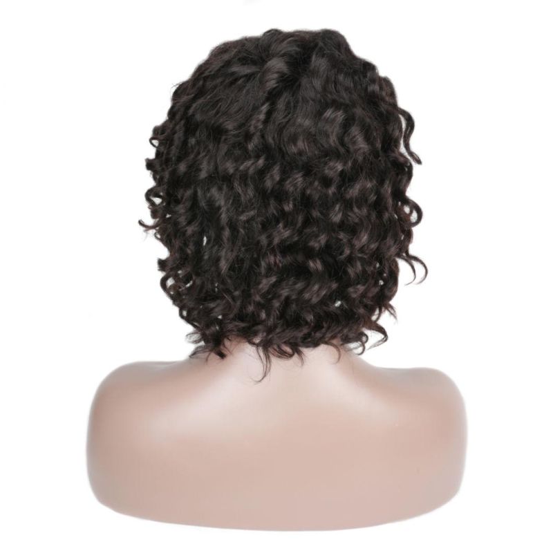 Wholesale Afro Kinky Jerry Curly Front Full Lace Human Hair Wig
