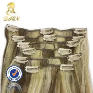 Top Quality Indian Straight Clip Hair Extensions