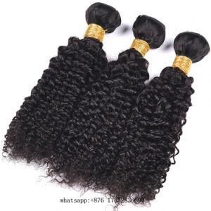 Wholesale Human Virgin Hair Brazilian Iaian Human Peruvian Italy Curly Hair Weft Extension Natural Color Hair Weft