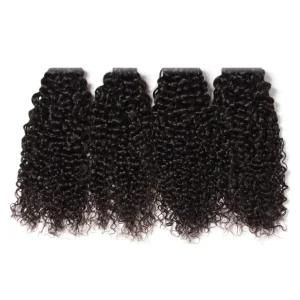 Cuticle Aligned Raw Malaysian Virgin Hair Curly Human Hair Weave Bundle