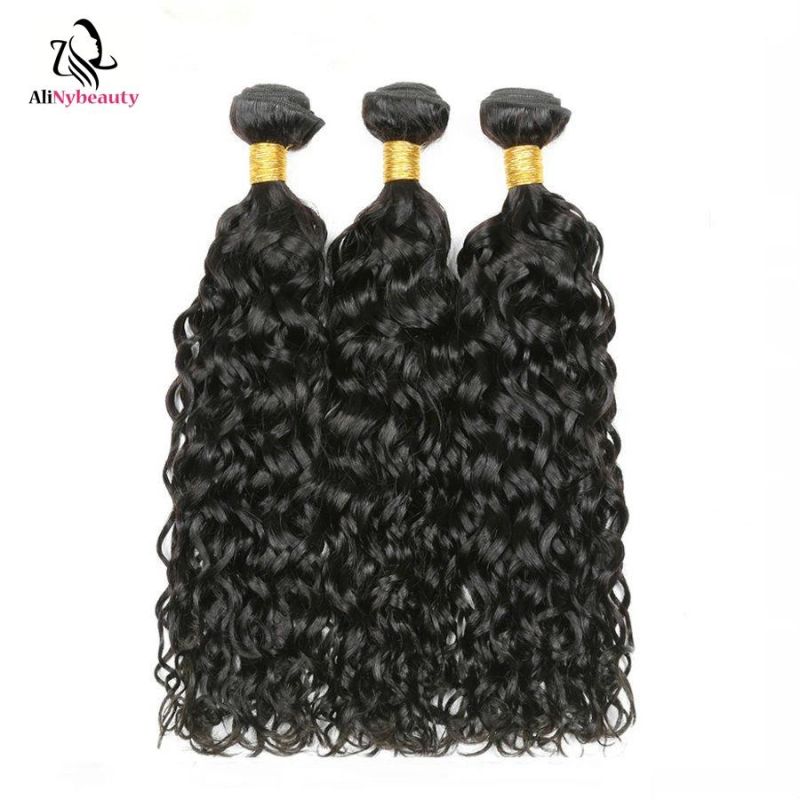 Alinybeauty Virgin Brazilian Human Hair Extension Water Wave Natural Color