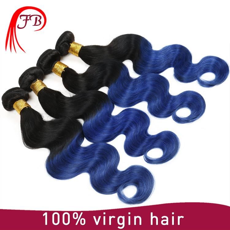 Brazilian Virgin Omber 100% Body Wave Human Remy Hair