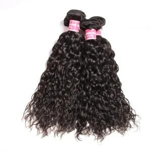 Premium Natural Human Virgin Hair Water Wave Remy Hair Curly Extensions