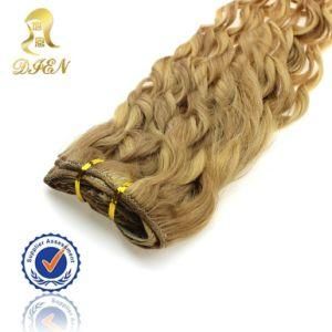 High Quality Virgin Chinese Yaki Hair Weft