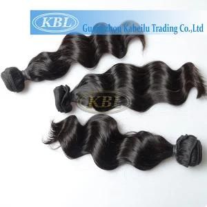 Cuticle Aligned Wholesale Virgin Hair Vendors Grade 9A Virgin 100 Human Peruvian Hair