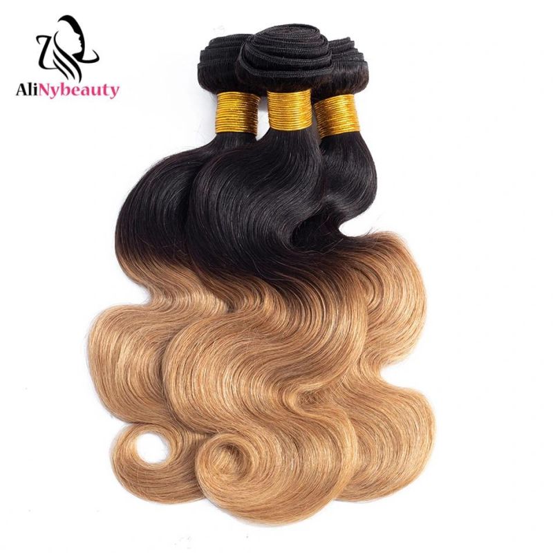 Ombre 1b/27 Color Brazilian Body Wave 100% Human Hair Extension