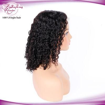 Brazilian Remy Human Hair Lace Front Hair Water Wave Wigs