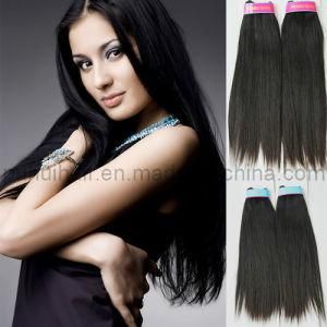 Top Quality Human Weaving Hair Extensions, Hair Weft (W-022)