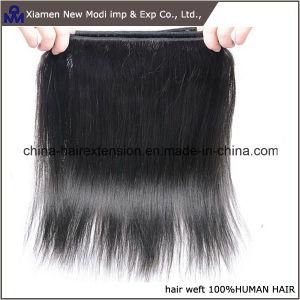 Double Drawn Human Hair Extension Indian Hair Weaving