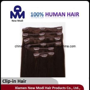 Wholesale 10A Grade Indian Remy Clip in Hair Extension