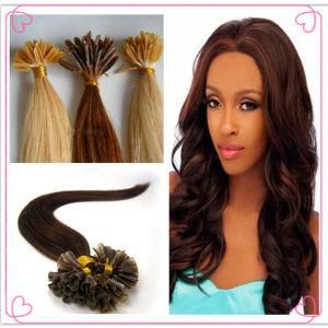 U Tip Human Hair Extension