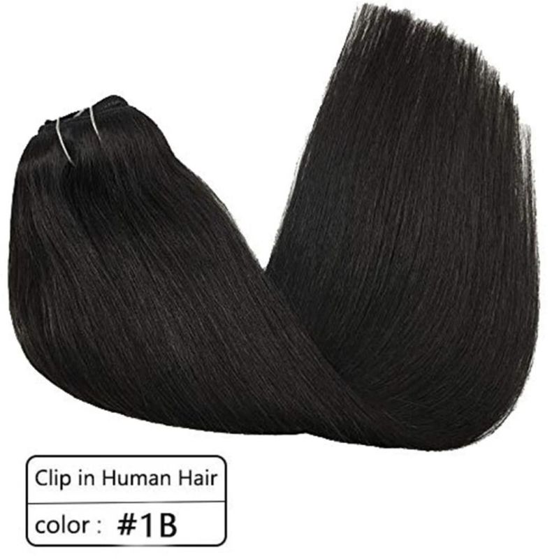 Brazilian Human Hair Extensions Full Head Clip in Remy Human Hair Straight Hair Extensions Multi Color 20 Inches Clip in