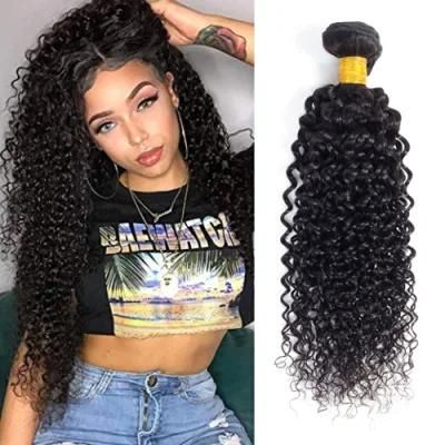 Brazilian Kinky Curly Virgin Hair 1 Bundle Virgin Hair Extensions