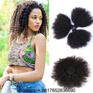 9A Peruvian Raw Inaian Brazilian Cuticle Aligned Hair Remy Human Hair Afro Kinky Curly Hair Extensioon Hair Weft