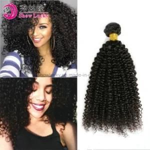 Wholesale Beauty Virgin Peruvian Hair Kinky Curly Weft Top Quality Remy Peruvian Human Hair Weave