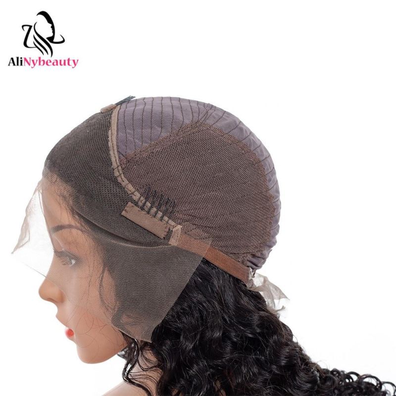 Alinybeauty Virgin Brazilian Human Hair Lace Front Wig