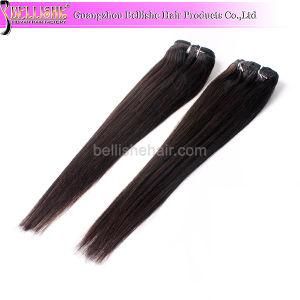Factory Price Brazilian Human Hair Clip in Hair Extension