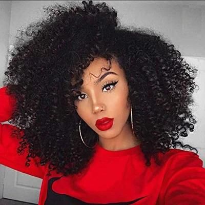 Afro Kinky Curly Human Hair Wig Brazilian Glueless Lace Frontal Wigs