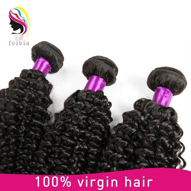 8A Kinky Curly Brazilian Human Hair Weave