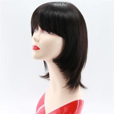 Cheap Short Princess Cut Indian Human Hair Wig
